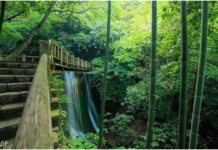 TREAT YOURSELF TO A RELAXING GETAWAY IN THE MOGAN MOUNTAINS