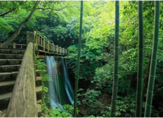 TREAT YOURSELF TO A RELAXING GETAWAY IN THE MOGAN MOUNTAINS