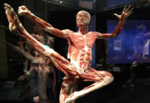 An open letter from a mother to the New Zealand government , schools and all New Zealanders