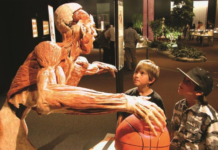 Body Worlds Vital: A controversy concerning education and science
